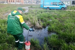 Более 2,6 тонн опасных отходов собрали экологические службы за неделю