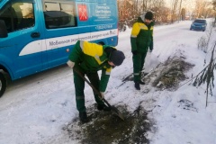 Более 12,3 тонн опасных отходов собрали экологические службы за неделю