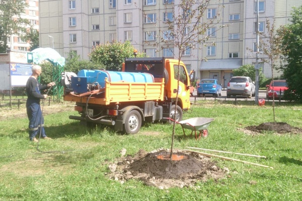 Начались работы по благоустройству сквера у метро «Проспект Ветеранов»