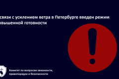 В связи с усилением ветра в Петербурге введен режим повышенной готовности