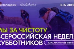 Петербург присоединится к неделе субботников «Мы за чистоту»