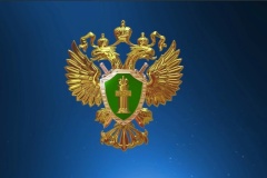 Прокуратура_поджоги