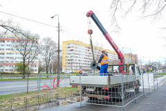 Новые фонари - для Дачного проспекта