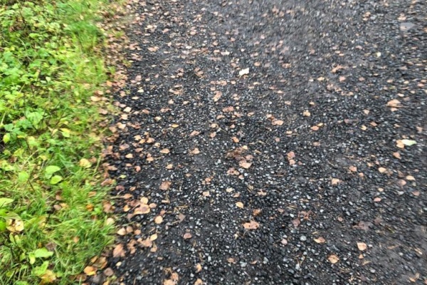 Лису вернули в естественную среду обитания