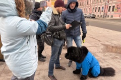 Сегодня в Таврическом саду прошел очередной рейд по соблюдению правил выгула собак