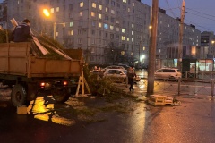 Несанкционированный елочный базар ликвидирован во Фрунзенском районе
