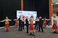 Ветераны Петродворцового района представили свои номера на фестивале любительского художественного и прикладного творчества