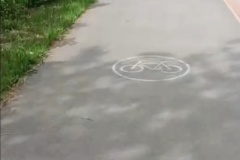 В Кронштадте появятся новые выделенные велодорожки