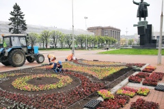 В этом году Калининский район украсит более полумиллиона цветов