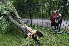 СПб ГУП «Ленсвет» ликвидирует последствия штормового ветра
