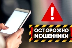 На территории Выборгского района Санкт‑Петербурга, по сведениям УМВД, среди потерпевших от мошенничества почти 80% приходится на категорию пожилых людей