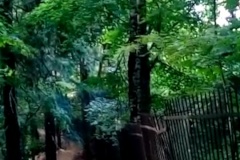 Состоялось рассмотрение административных дел по факту выброса так называемого "синего дыма"