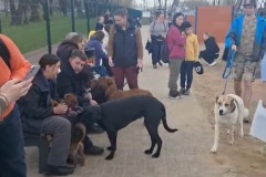 Множество семей со своими питомцами пришли в настоящий центр притяжения любителей животных – площадку для выгула собак на Железнодорожной улице