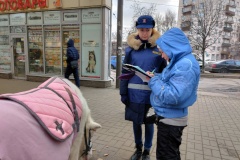 Пони на проспекте Ветеранов выгуливали с нарушениями