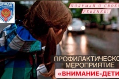 На территории Центрального района проводится профилактическая операция «Внимание-дети!