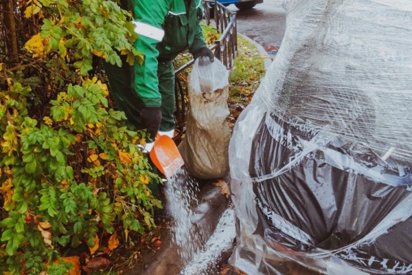 В экологические аварийные службы поступило более 200 обращений