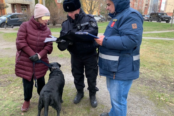 Правила выгула собак проверили в Калининском районе