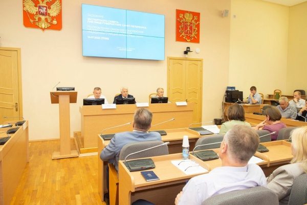 Заседание экспертного Совета по оказанию комплексной медико-социальной помощи пожилым гражданам