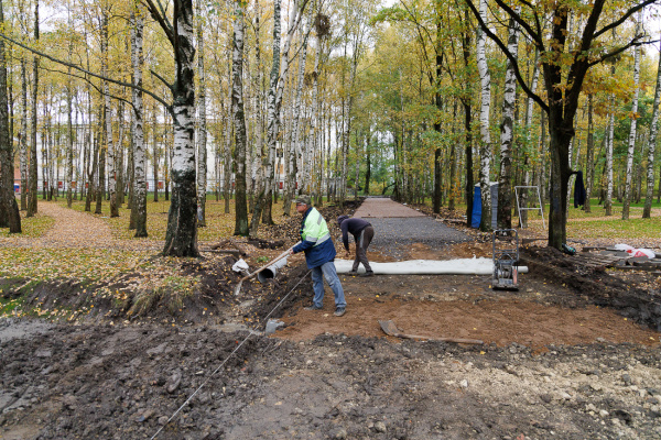 "Березовая роща" преображается