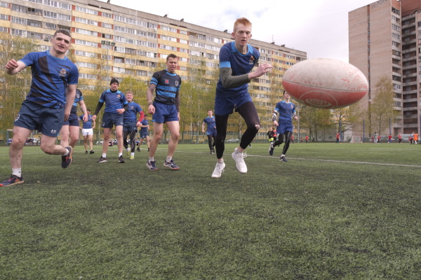 День спорта в Выборгском районе