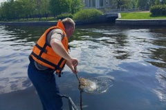 366 водных объектов Санкт‑Петербурга стали чище весной