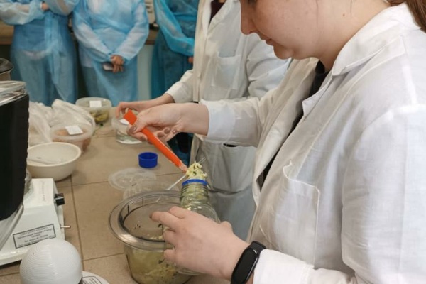 Студенты Политехнического университета принимают участие в проектной деятельности Управления