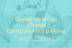 Оцени качество уборки Центрального района