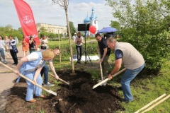 В Московском районе появилась Аллея бизнеса