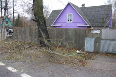 Спасательная операция на Приморском шоссе из-за шторма "Святого Иуды"