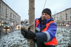 Забота о зелени в Московском районе