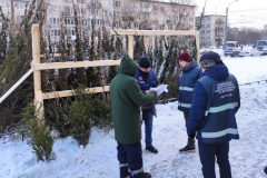 За неделю в Петербурге ликвидировано 20 незаконных ёлочных базаров