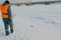 Более 2,2 тонн опасных отходов собрано экологическими службами за неделю