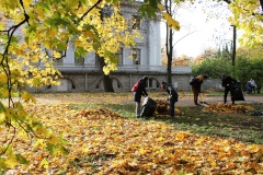Сотрудники КГИОП приняли участие в осеннем Дне благоустройства города