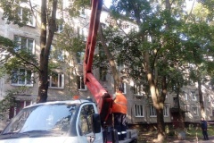 Во Фрунзенском районе продолжаются работы по санитарной очистке деревьев и кустарников, а также спилу сухостоя