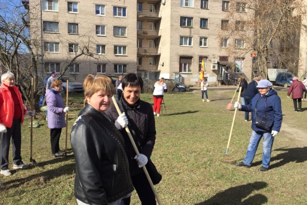 Коллектив Кино-досугового Центра "Чайка" вышел на комплексную уборку территории