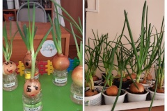 Экологический детский сад