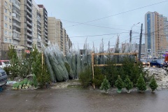 От незаконных ёлочных базаров освобождено более 100 кв. м городской земли