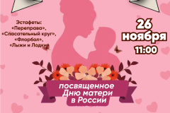 Открытое физкультурное мероприятие, посвященное Дню матери в Выборгском районе