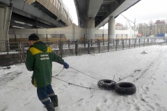 Более 500 обращений поступило в экологические службы за неделю