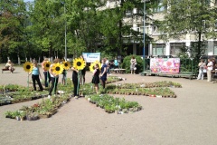 В Кировском районе прошла цветочная акция 