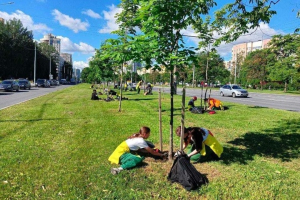 ГАТИ выдала 167 ордеров на посадку деревьев