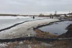 Итоги работы городских экологических служб за 2019 год