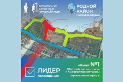 Подведены итоги голосования по флагманским проектам благоустройства в Петродворцовом районе