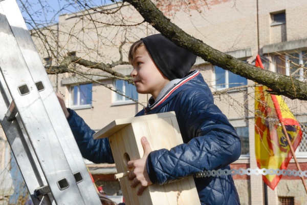 Во Фрунзенском районе прошла акция "Подари дом птицам"