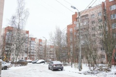 В Петергофе началась реконструкция освещения в квартале рядом с Гостилицким шоссе