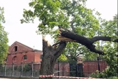 В Кронштадте был объявлен желтый уровень погодной опасности