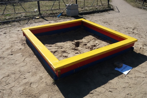 Гимназия Фрунзенского района присоединилась к уборке территоррии