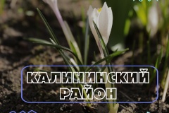 В Петербурге стартовал весенний месячник по благоустройству