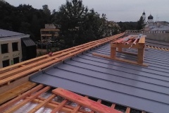 В этом году в Петродворцовом районе отремонтируют крыши по 61 адресу