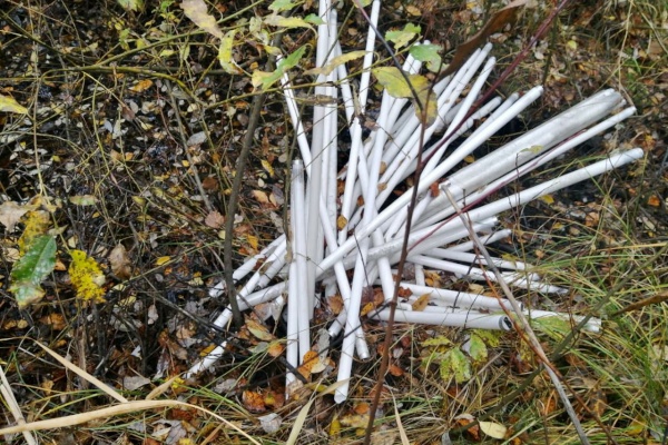 Более 240 обращений поступило в экологические аварийные службы за неделю